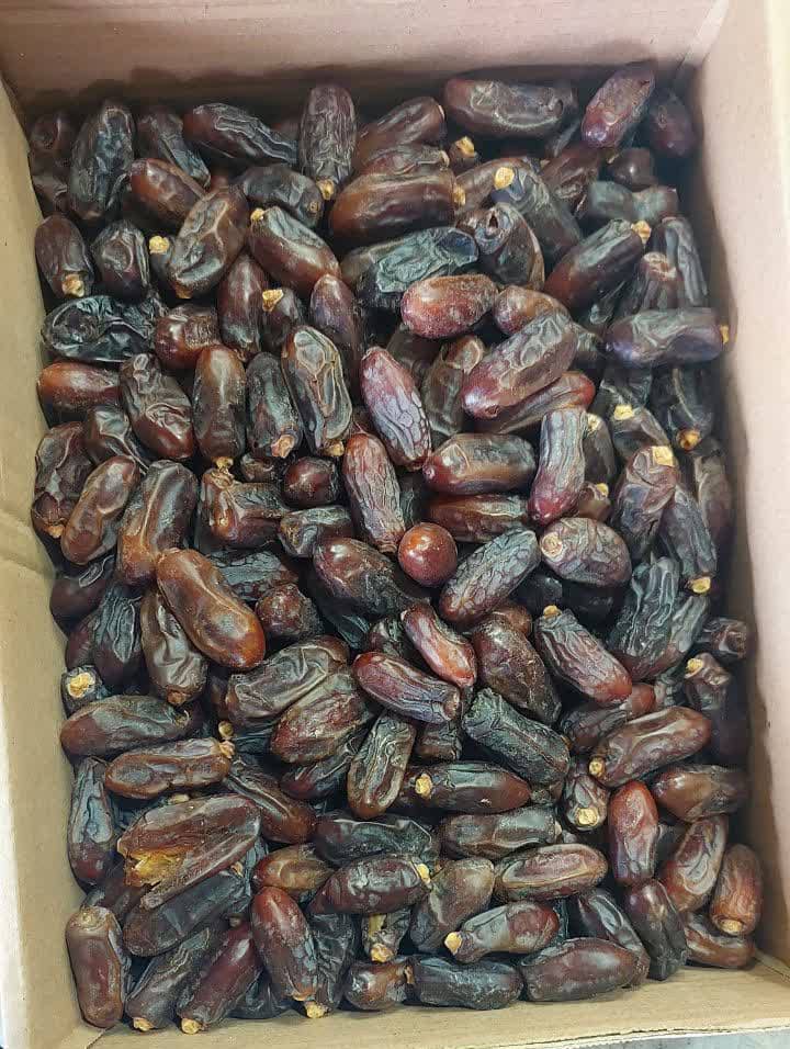 فروش عمده + خرما ربی