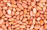 بادام زمینی آستانه اشرفیه قیمت