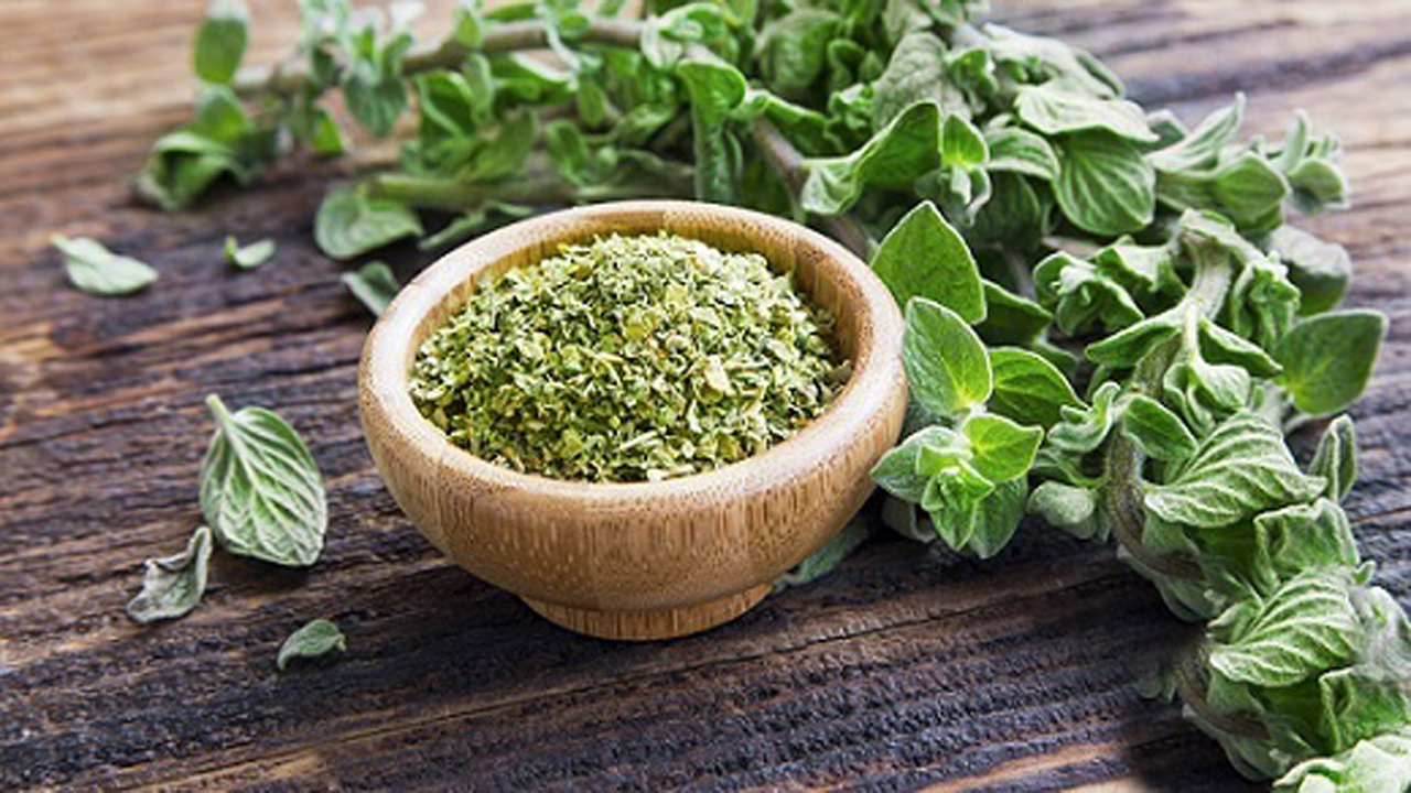 عرق گل پونه + طبیعی