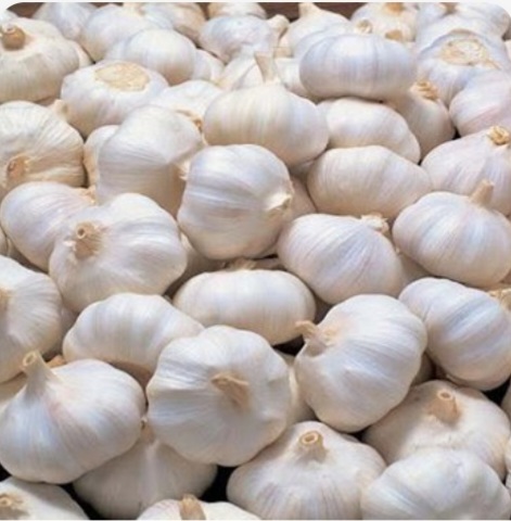سیر خشک درجه یک + عمده قیمت عالی