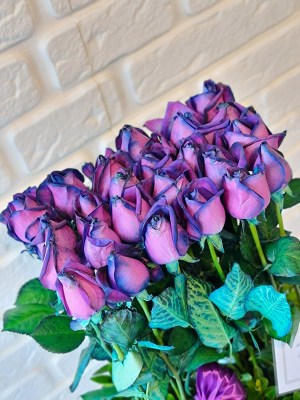 خرید عمده گل شاخه بریده رز هلندی