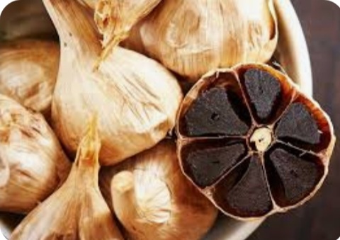 سیر سیاه صادراتی + قیمت عمده