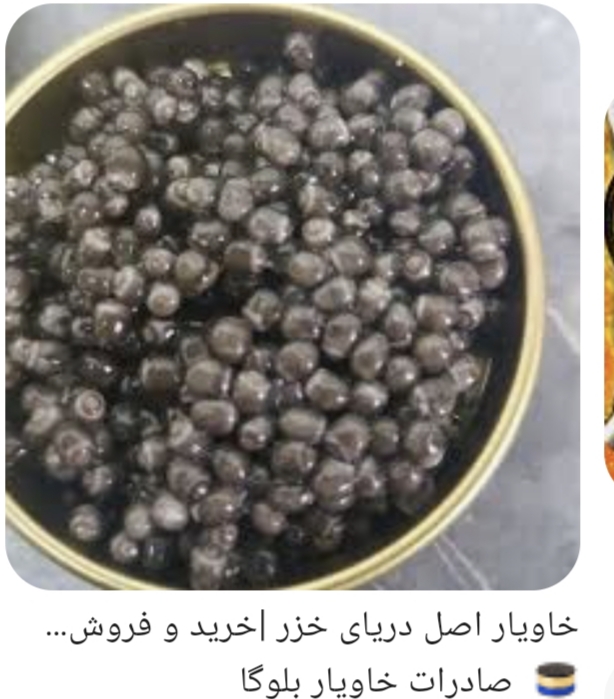 خاویار بلوگا خاکستری