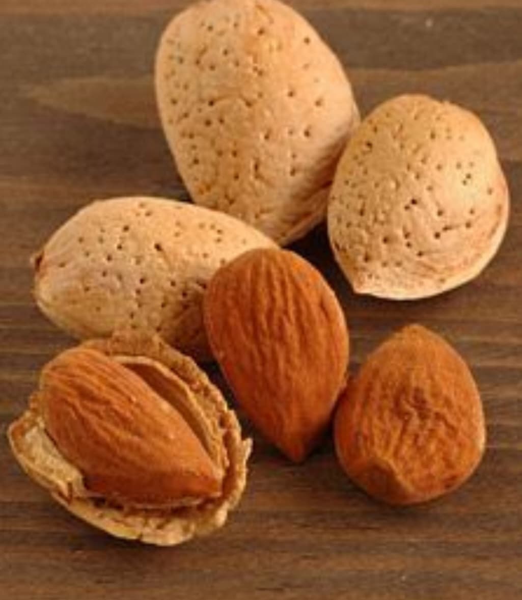 فروش عمده بادام درختی + خرید