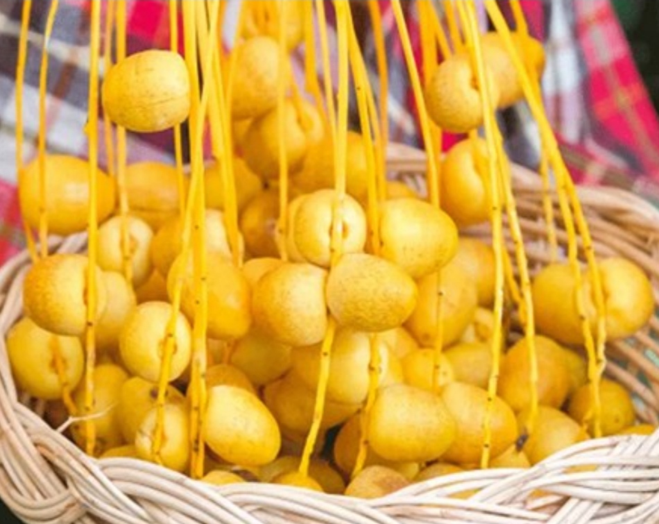 خرید خرمای هلیله ای عمده به صرفه و ارزان