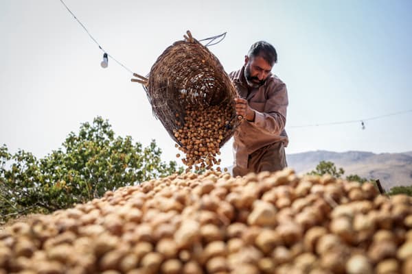 فروش انجیر خشک خرمنی + قیمت باور نکردنی