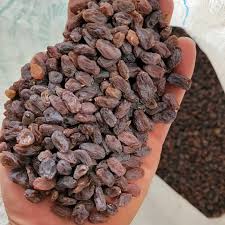 کشمش رستاک درشت + قیمت مناسب