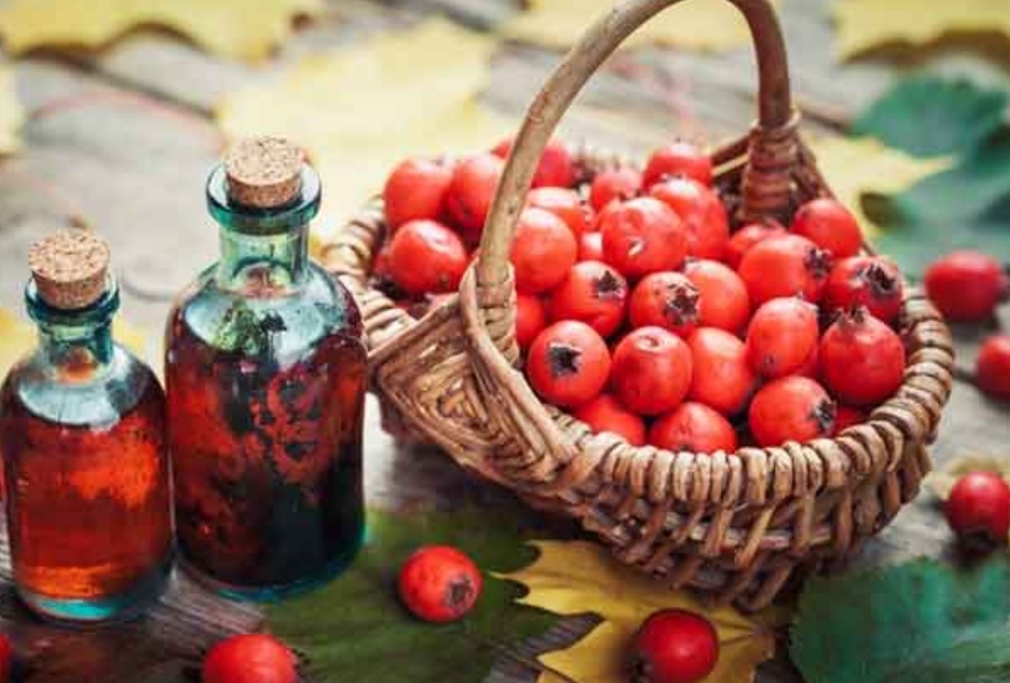 خرید و فروش عرق کیالک (زالزالک) برای غلظت خون