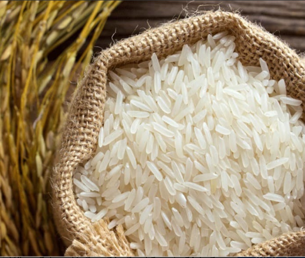 خرید عمده و خرده برنج طارم هاشمی مرغوب و درجه یک با قیمت استثنائی