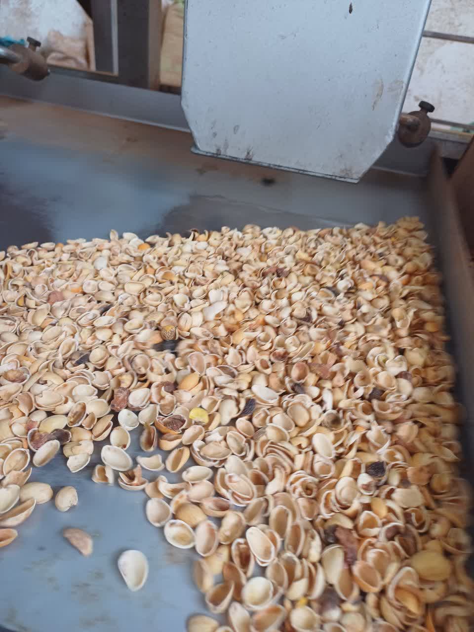 فروش عمده پوست پسته + صادراتی
