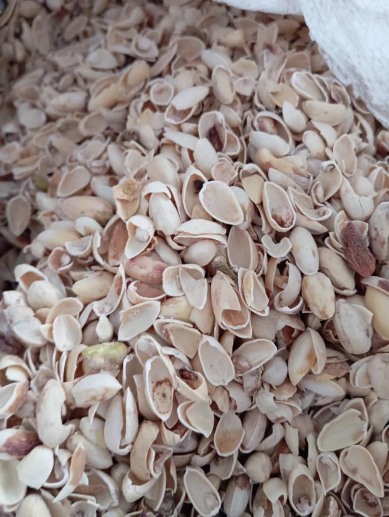 قیمت عمده پوست پسته دهن بسته
