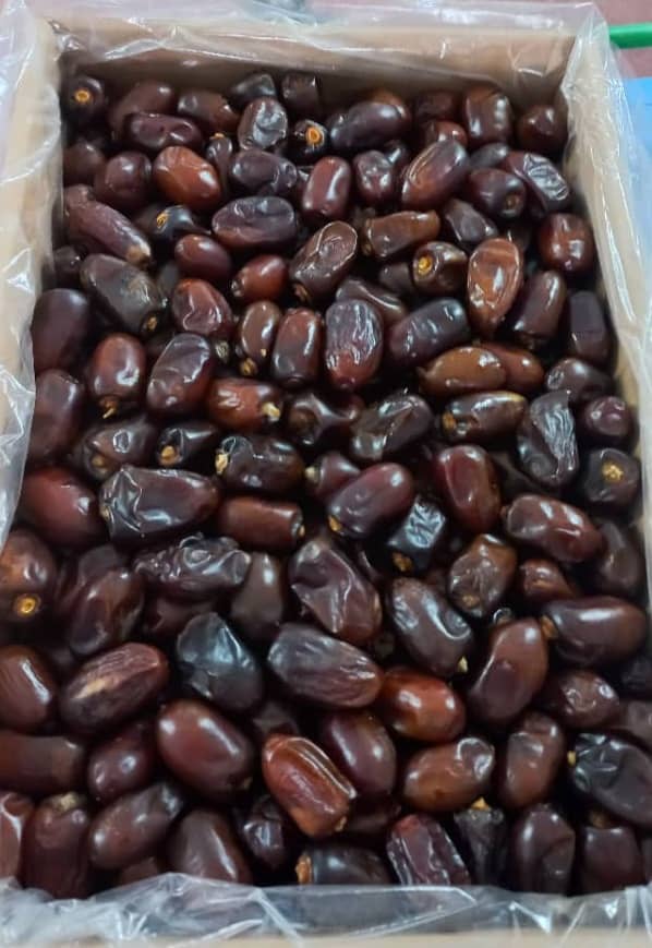 فروش عمده + خرما کلوته