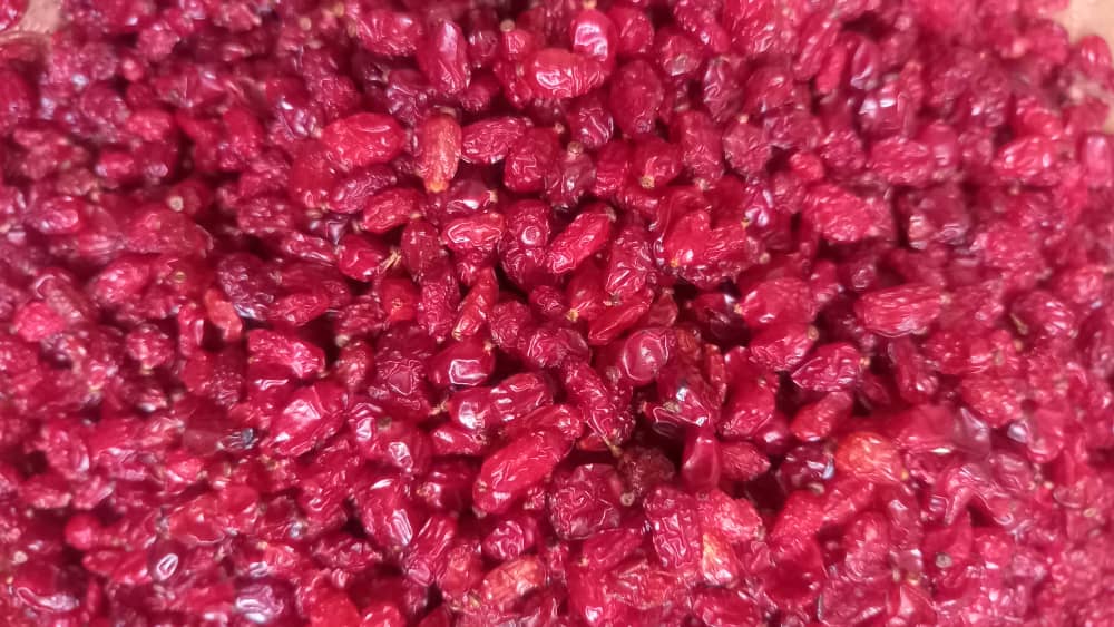 خرید زرشک اعلا