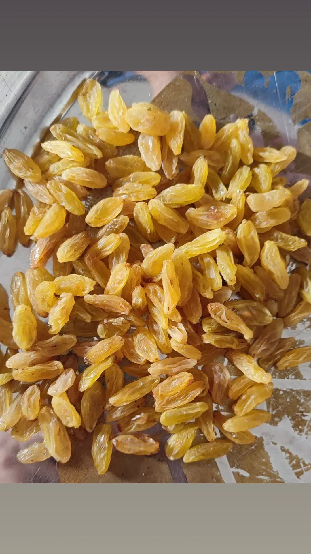 کشمش زرد طلایی فوق اعلا