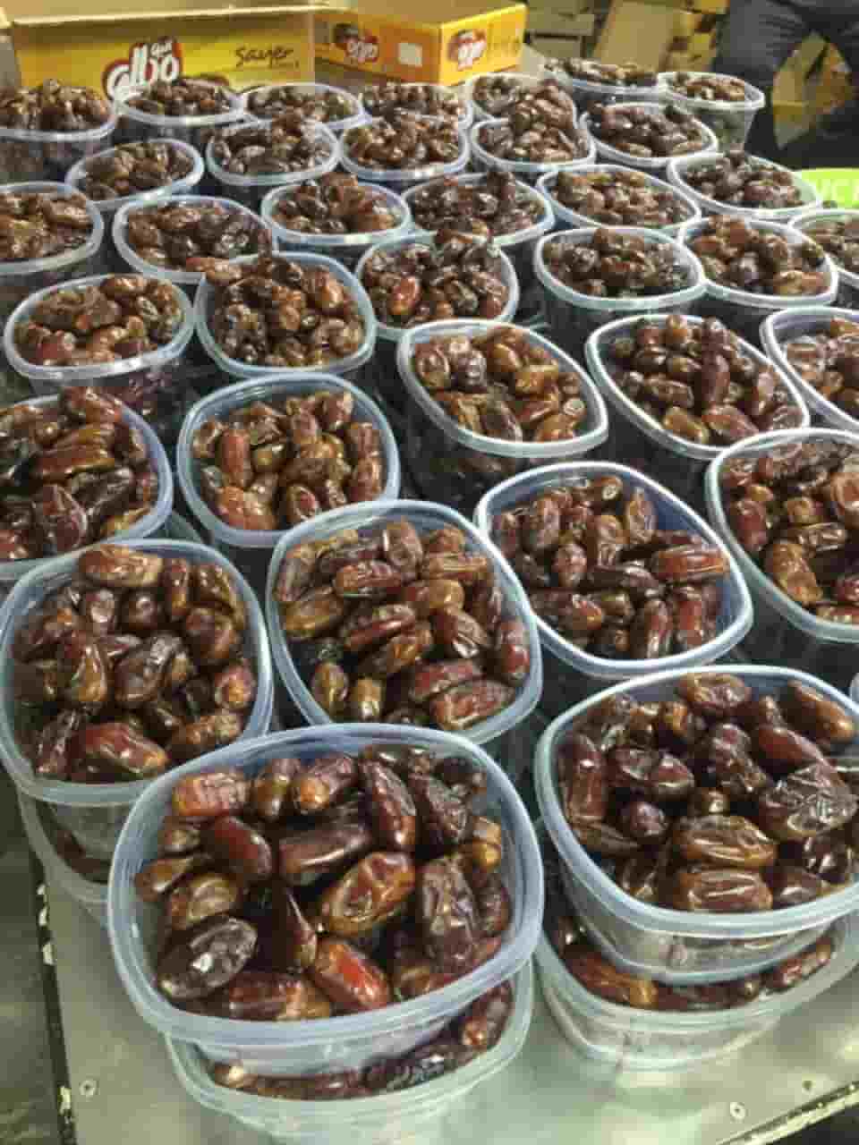خرمای سایر جنوب + بازار عمده
