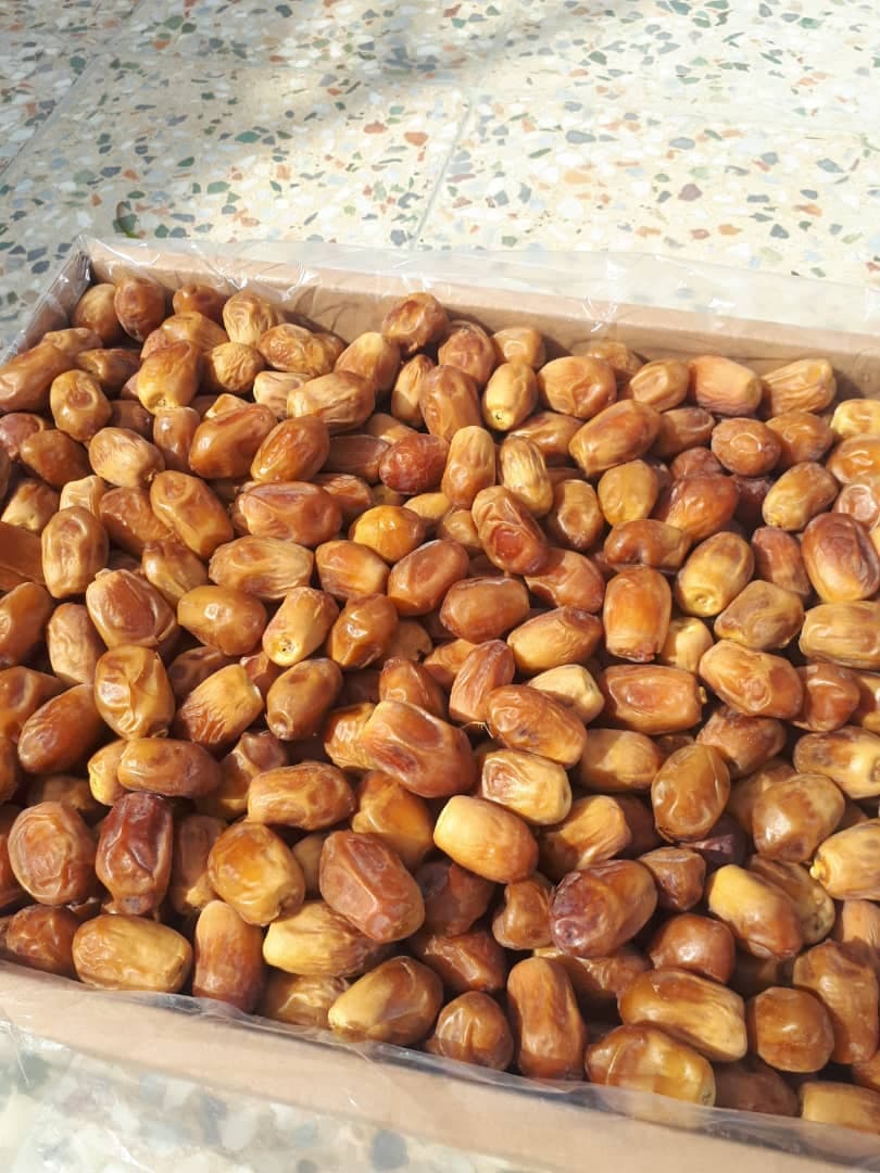 خرید عمده خرما زاهدی آبادان