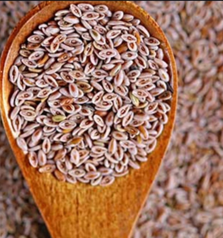 تخم بارهنگ اعلا + خرید قیمت استثنایی