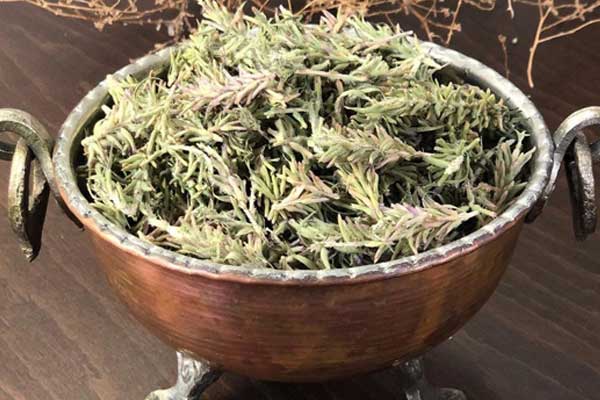 فروش عمده کاکوتی خشک‌ شده با کیفیت عالی و قیمت روز