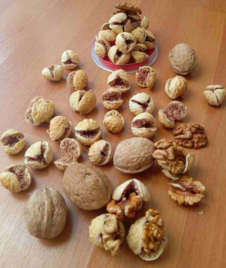 خرید انجیر خشک ارگانیک + فروش ویژه