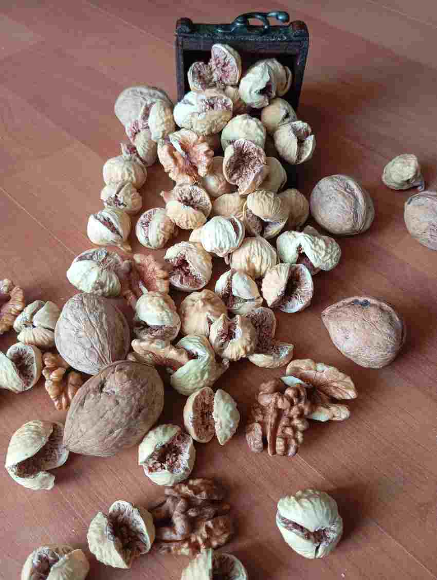 خرید انجیر خشک عمده + فروش ویژه