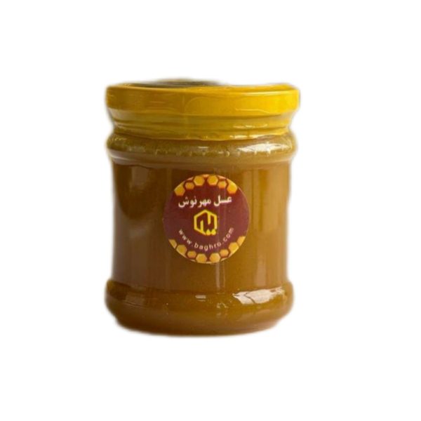 خرید و قیمت معجون عسل گرده گل اردبیل