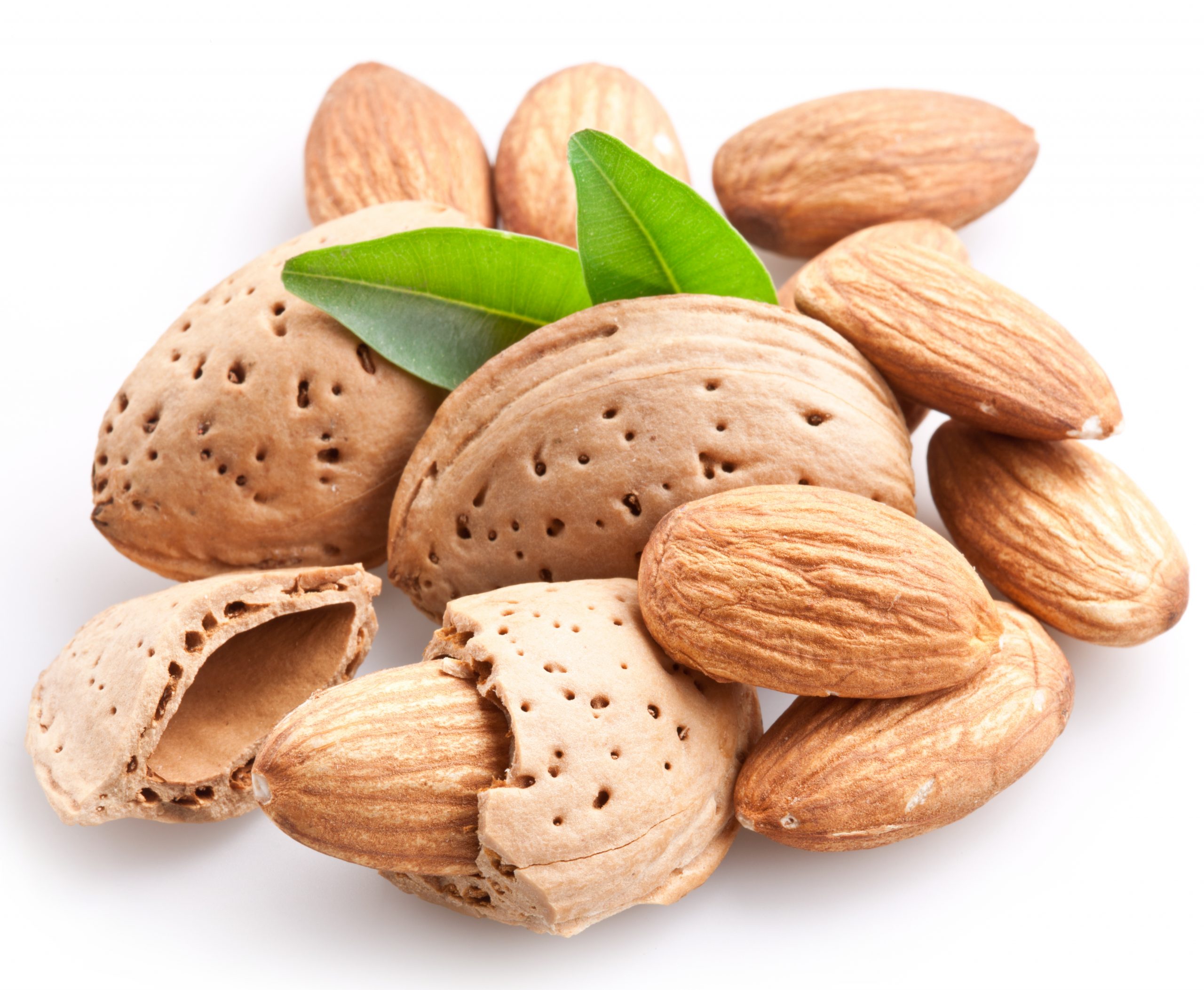 خرید مغز بادام سنگی عمده + فروش صادراتی