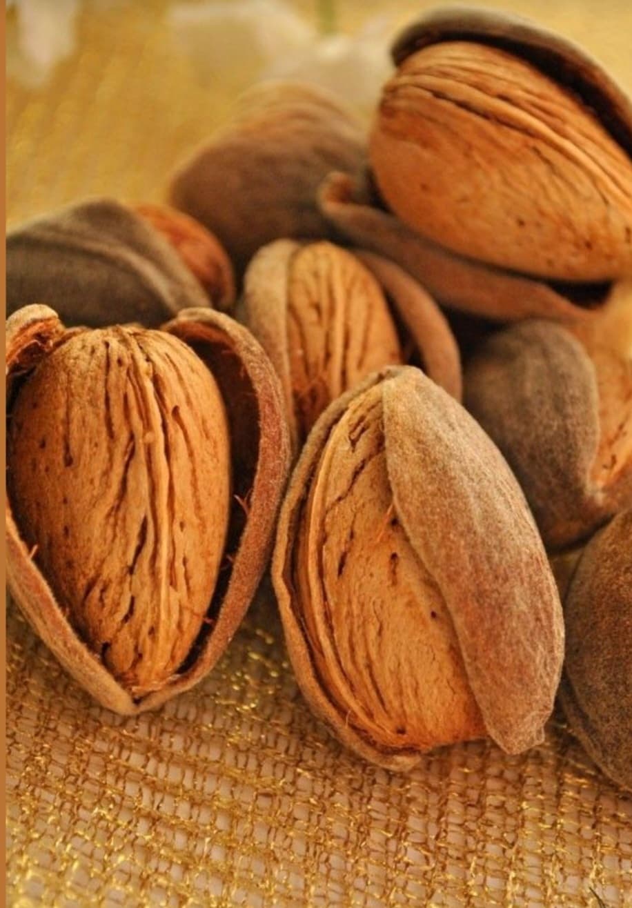 بادام سنگی مرغوب با قیمت استثنایی