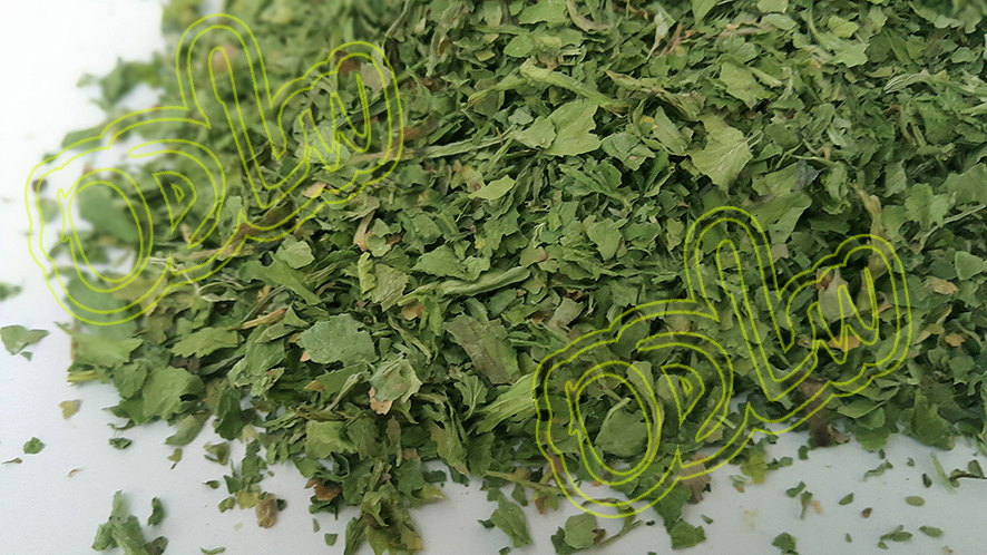 خرید و قیمت گشنیز خشک برند ساده + فروش عمده