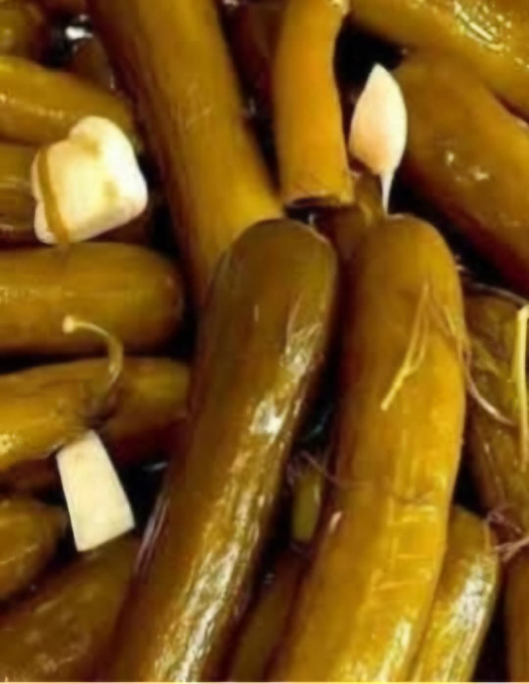 خرید خیارشور درجه یک حلب با تضمین کیفیت و ارسال فوری