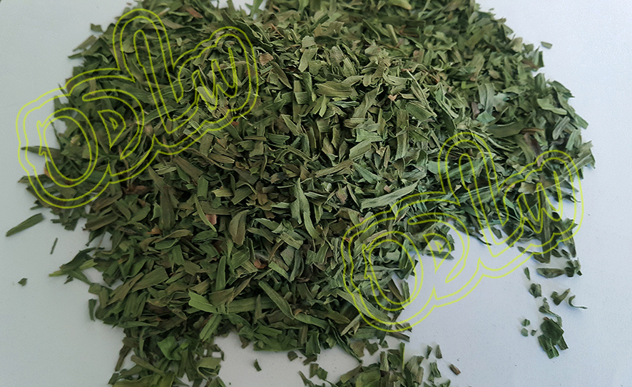خرید و قیمت ترخون خشک برند ساده + فروش عمده
