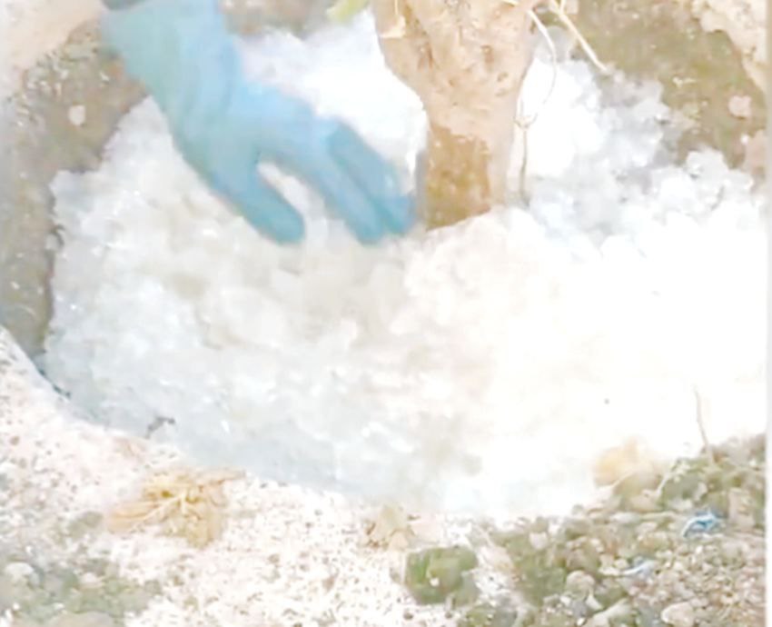 تصویر 3 از پلی اکریلات پتاسیم با قیمت خرید محصول مناسب، آماده تحول خاک