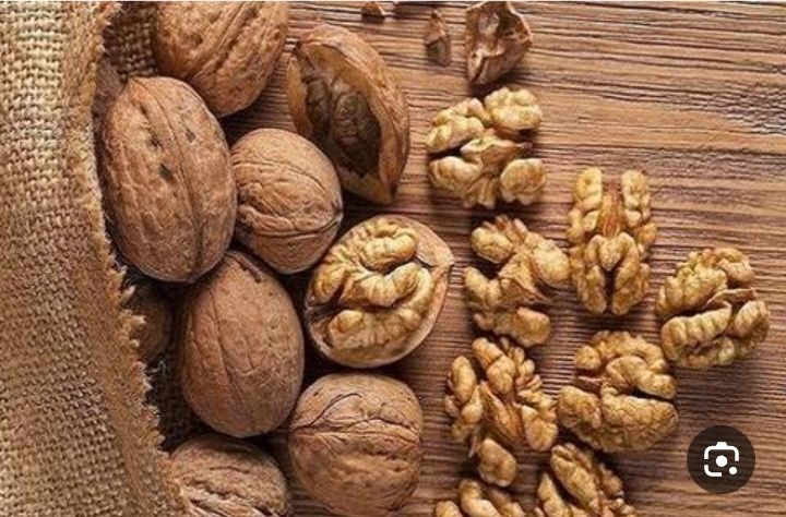 خرید عمده گردو کاغذی به قیمت بازار