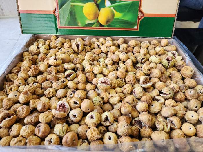 خرید عمده انجیر خشک