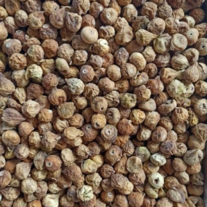 خرید و فروش عمده انجیر شکلاتی با قیمت های شگفت انگیز