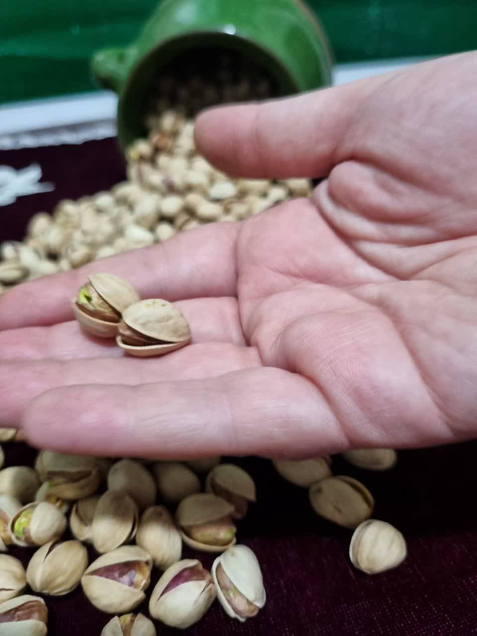 فروش عمده پسته فندقی درجه یک + قیمت به صرفه و ارزان