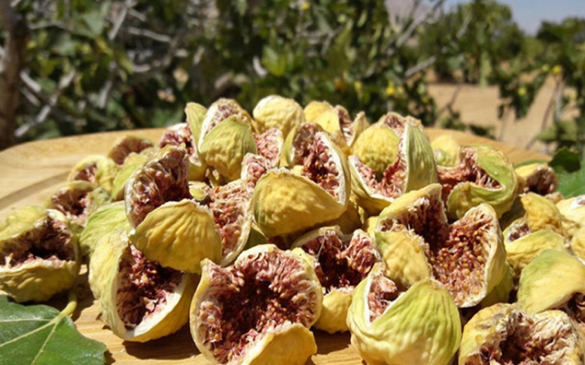 انجیر خوشمزه و مغذی