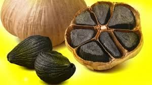 قیمت خرید سیر سیاه درجه یک همدان + فروش استثنایی