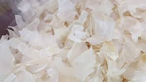 فروش کتیرای صدفی با قیمت مناسب