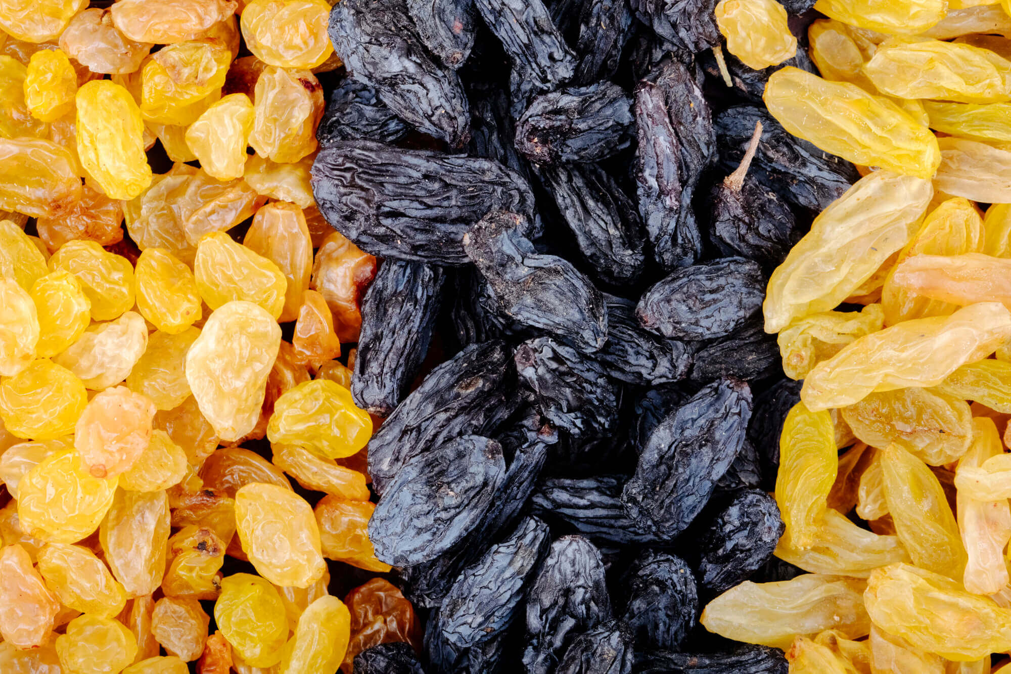 خرید مویز صادراتی + با قیمت ویژه