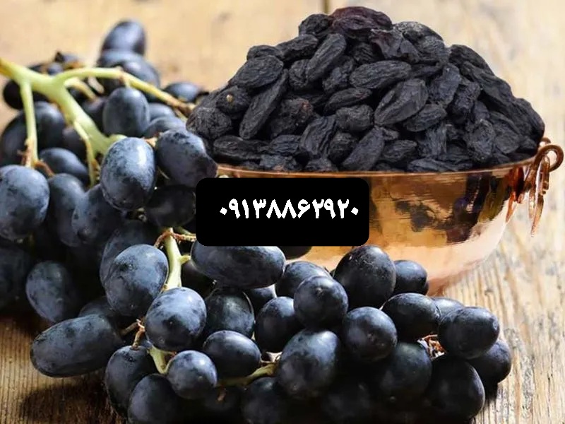 خرید مویز + قیمت فروش استثنایی