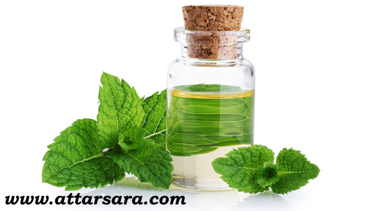 فروش عرق نعنای مرغوب و عالی، صادراتی، عمده