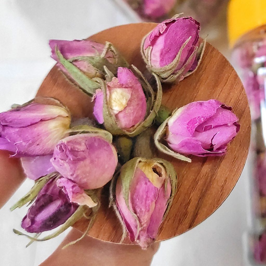 خرید غنچه گل محمدی تامین دست اول