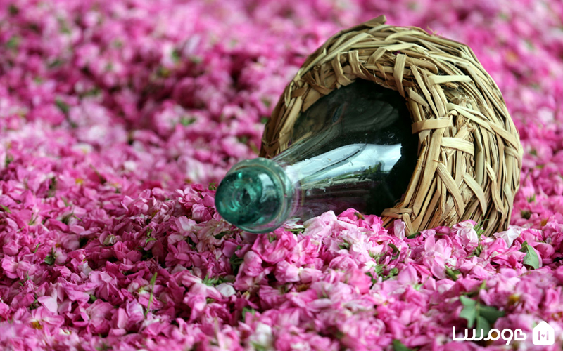 خرید عمده گلاب صادراتی با عیار ۱۸ تا ۲۴ از شرکت فولاد گل