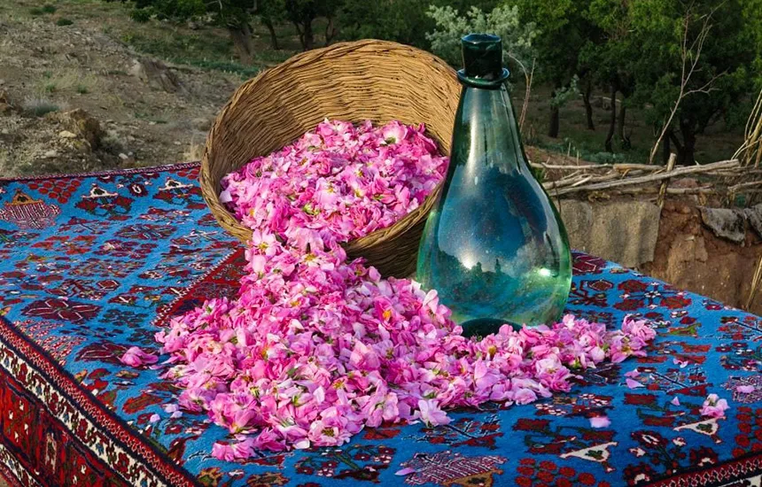 خرید عمده گلاب صادراتی در داراب با فولاد گل
