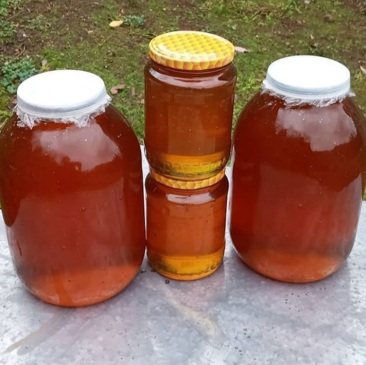 عسل طبیعی کوهستان عصاره زولک + خالص