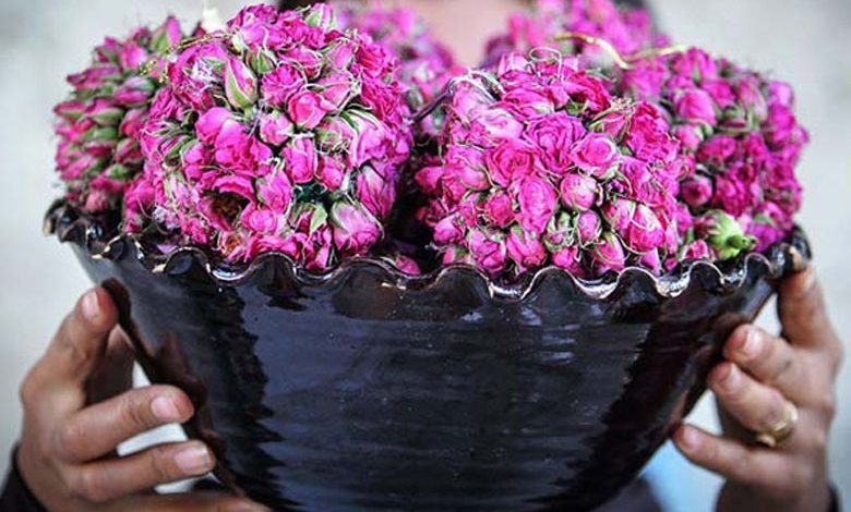 خرید عمده غنچه خشک صادراتی با بسته بندی های مختلف