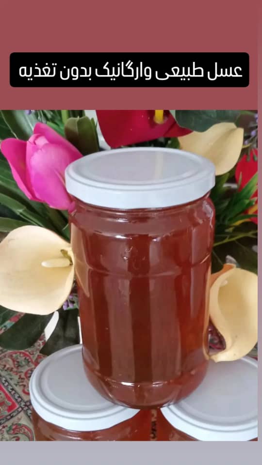 عسل طبیعی ارگانیک نگین اکسپورت + خرید