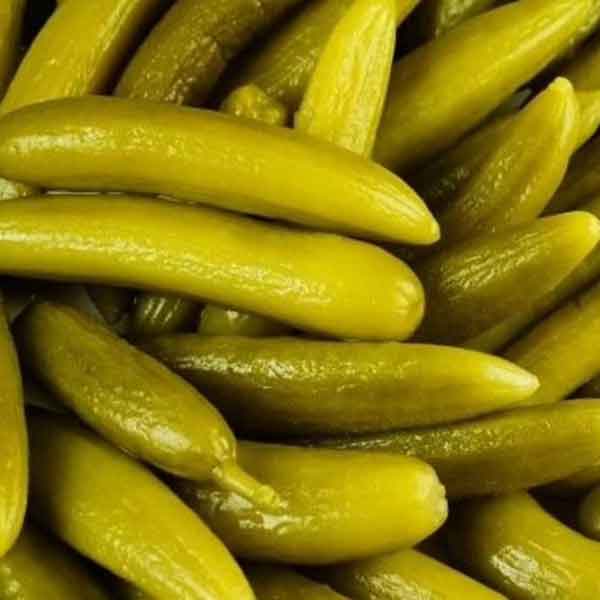 قیمت خیارشور نول رستورانی + فروش عمده