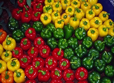 فروش عمده فلفل دلمه رنگی اصفهان + با شرایط استثنایی