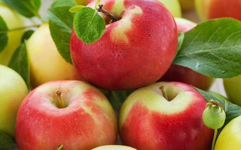 قیمت سیب گالا صادراتی دماوند با کیفیت سوپر + فروش عمده
